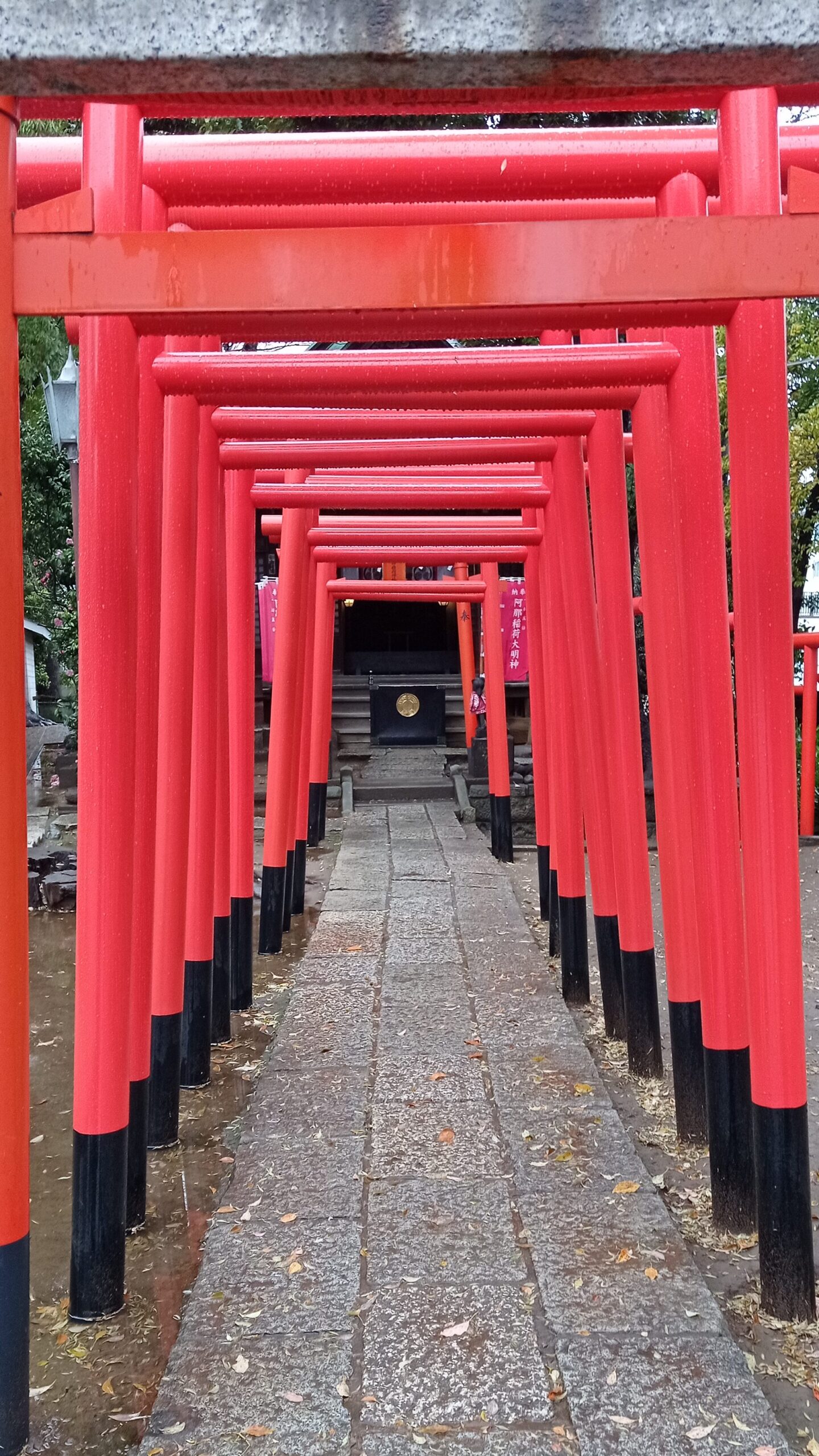 allée de tori, sanctuaire à Shinagawa, sud de Tokyo.